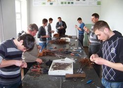 Робота кипить